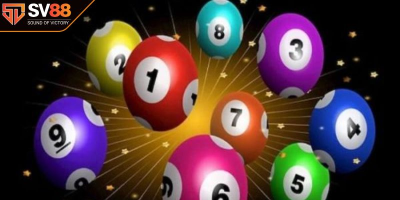 Cách nuôi lô khung 7 ngày hiệu quả