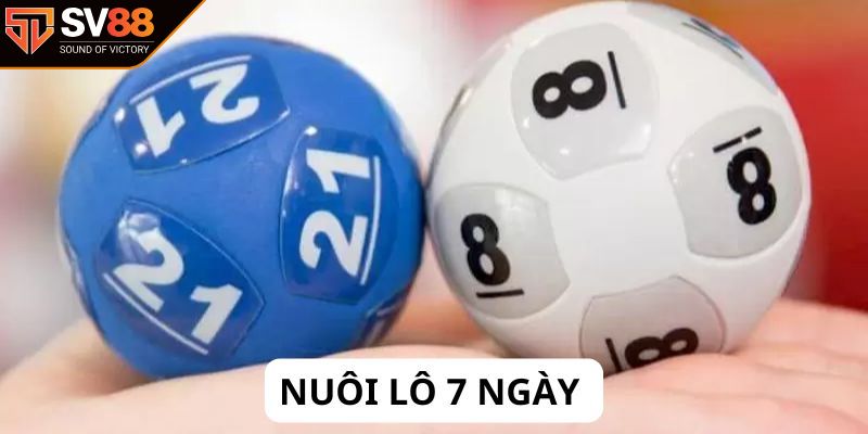 Tổng quan về nuôi lô 7 ngày